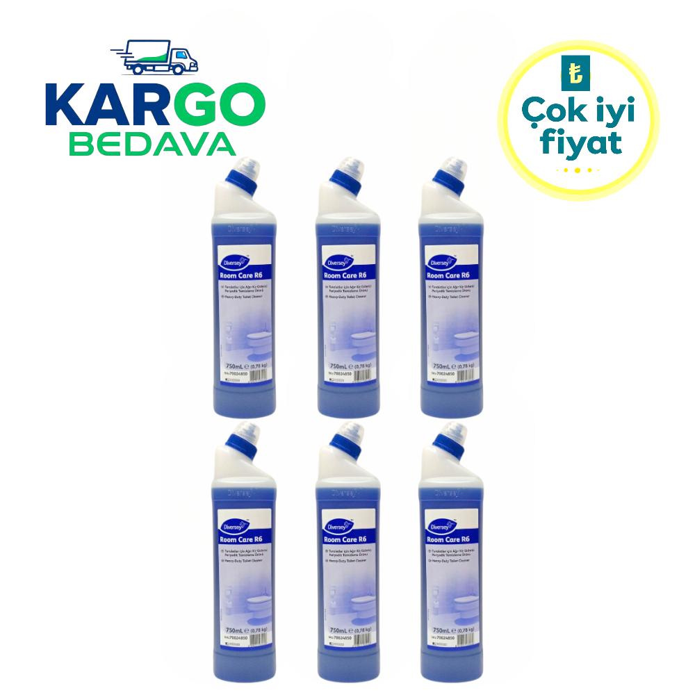 Diversey Room Care R6 WC Ağır Kir Giderici 750 ml (6Adet)