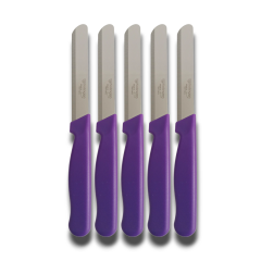 Solingen Klever Mikro Ava Mat Mor Renk 5 Adet